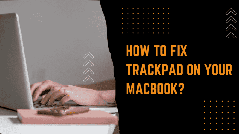How to Fix MacBook Trackpad Not Working?